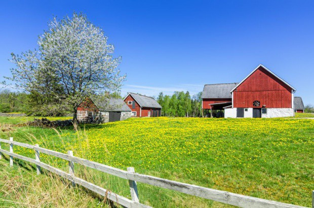 fot. shutterstock W Polsce rośnie liczba gospodarstw rolnych