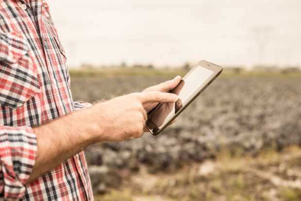 Yara i IBM stworzą cyfrową platformę dla rolników