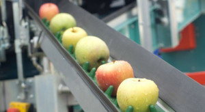 Sadownicy z Piemontu obawiają się konkurencji ze strony polskich jabłek