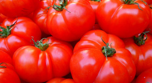 Stany Zjednoczone obłożą cłem pomidory z Meksyku
