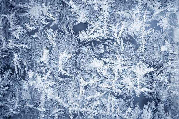 fot. shutterstock.com Prognozy się sprawdziły. Przymrozki zaatakowały plantacje owoców!