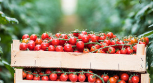 Rosja: Produkcja warzyw, owoców i jagód ma wzrosnąć w 2019 roku