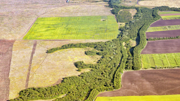 fot. shutterstock.com W siedzibie MRiRW rozmawiano o wykorzystaniu zasobów satelitarnych w rolnictwie