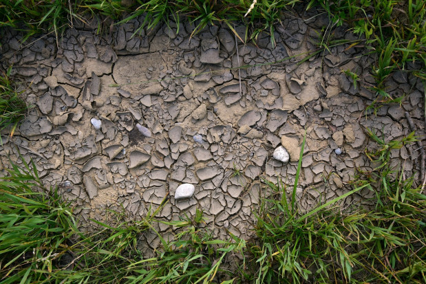 fot. pixabay.com Ardanowski: zagrożenie suszą jest poważne. Rolnicy nie zostaną bez pomocy