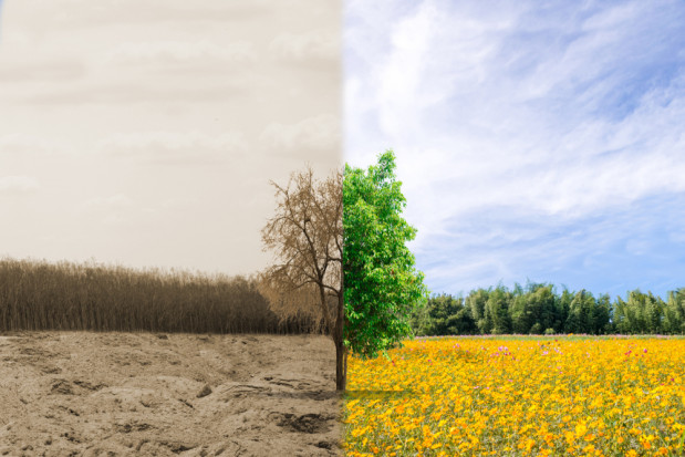 fot.shutterstock.com Raport: Unia Europejska zbyt szybko zużywa zasoby naturalne