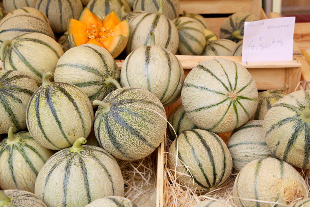 fot. shutterstock.com Francja: może wystąpić niedobór melonów. Powodem jest brak chętnych osób do zbiorów