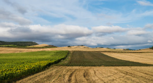 Raport NIK: zmiany w obrocie ziemią zahamowany wzrost cen gruntów rolnych