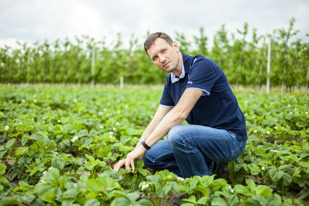 dr Kamil Jeziorek z firmy Syngenta/ fot. Marek Misiurewicz (Żelazna Studio) Zadbaj o plantację truskawek w okresie kwitnienia (wideo)