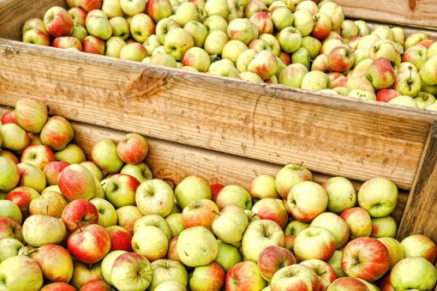 fot. shutterstock UOKiK: Döhler zobowiązał się do zmiany praktyk wobec dostawców owoców