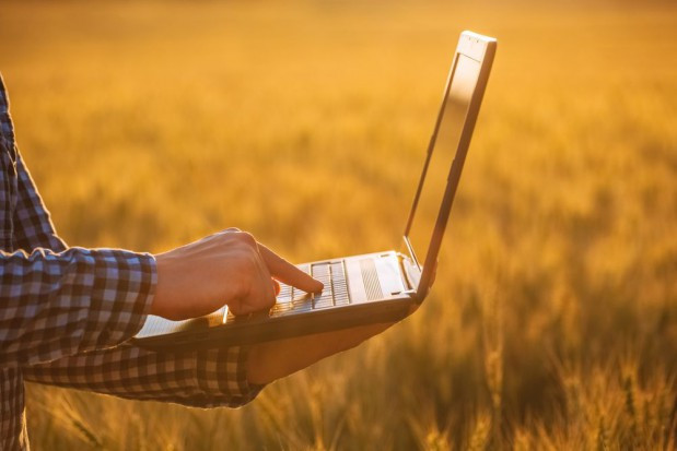 fot. shutterstock ARiMR przypomina: Do końca maja wnioski o dopłaty bezpośrednie!