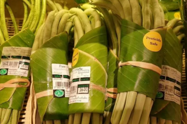 fot. Perfect Homes Chiangmai Facebook Liście bananowca zamiast plastiku?