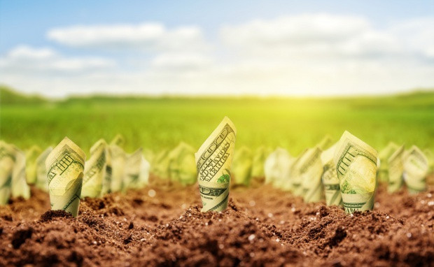 fot. shutterstock Z końcem maja upływa termin składania wniosków o dopłaty bezpośrednie
