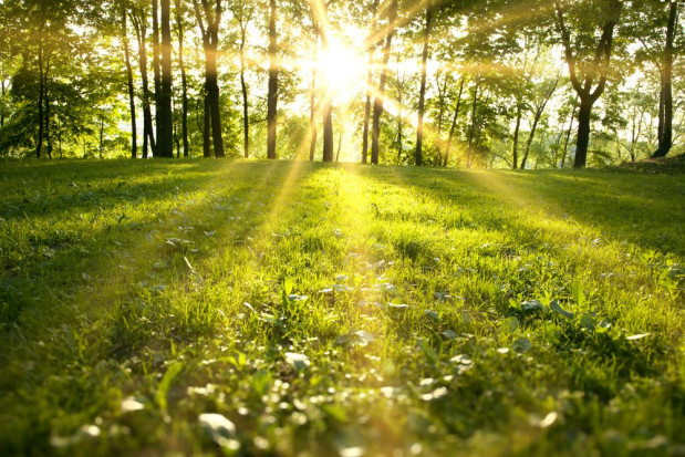 fot. shutterstock.com IMGW: w niedzielę bez zagrożeń, od poniedziałku wracają burze i upały
