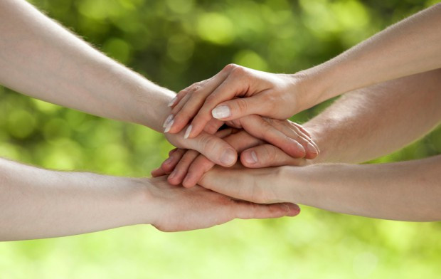 fot. shutterstock ARiMR: Większe wsparcie dla grup producentów rolnych