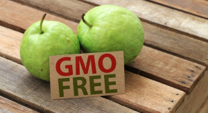 Sejm za oznakowywaniem produktów wytworzonych bez GMO