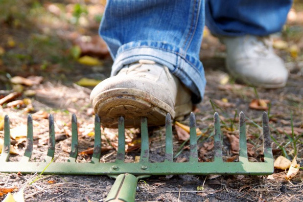 fot. shutterstock.com Strategia Wizja Zero: mniej wypadków i lepsze warunki pracy rolników