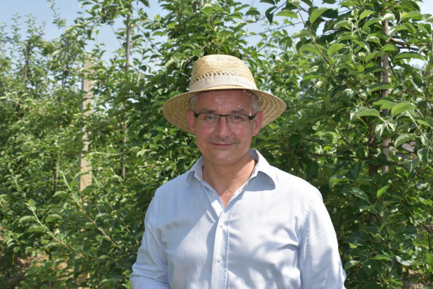 Radosław Suchorzewski, Grower Manager uprawy ogrodnicze, fot. sadyogrody.pl FDS Bayer: niskie plony owoców, silna presja mszycy jabłoniowo-babkowej i mączniaka (zdjęcia)