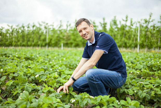 dr Kamil Jeziorek z firmy Syngenta/ fot. Marek Misiurewicz (Żelazna Studio) Ochrona truskawki: należy zwrócić uwagę na przędziorki, choroby liści wciąż groźne (zdjęcia+wideo)
