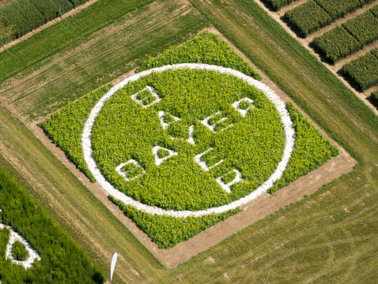 fot. shutterstock.com Bayer inwestuje w innowacje w zakresie nasion i śor, rolnictwa cyfrowego i rozwiązań biologicznych