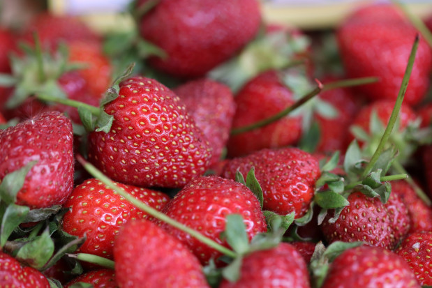fot. pixabay.com Truskawki 2019: Przetwórcy narzekają na jakość. Ceny nieco spadły