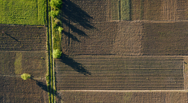 fot. shutterstock Cudzoziemcy w 2018 roku kupili blisko 800 ha gruntów rolnych