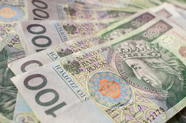 fot. shutterstock ARiMR: ok. 1,3 mln wniosków o przyznanie płatności bezpośrednich
