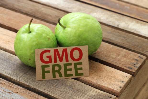 fot. shutterstock Senat: Ustawa wprowadzająca oznakowanie "bez GMO" trafi do podpisu prezydenta