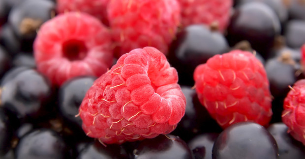 fot. shutterstock Ustawy o umowach kontraktacyjnych nie będzie?