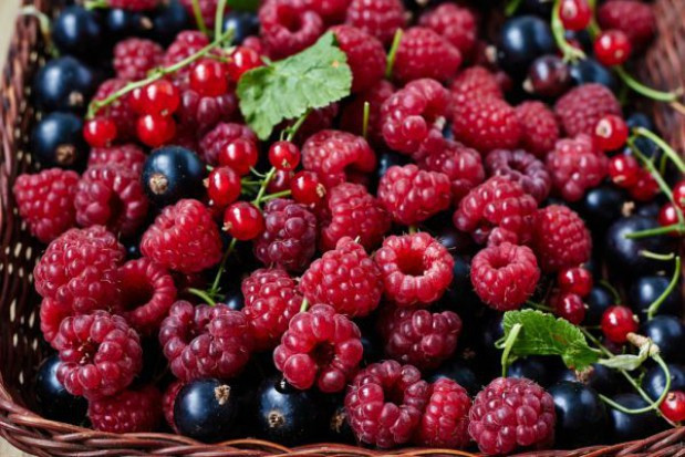 fot. shutterstock Zakłady przetwórcze przymierzają się do skupu kolejnych owoców