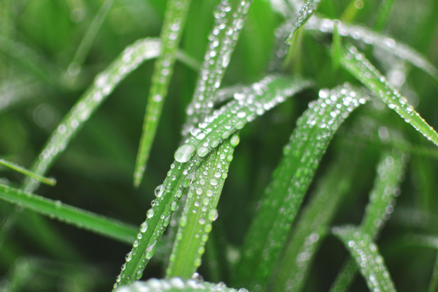 fot. unsplash.com Prognoza pogody: Idą deszcze i burze, lokalnie z gradem