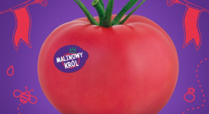 Powstało stowarzyszenie producentów pomidorów malinowych - Malinowy Król