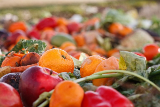 fot. shutterstock Węgry organizują akcję na rzecz ograniczenia marnowania żywności