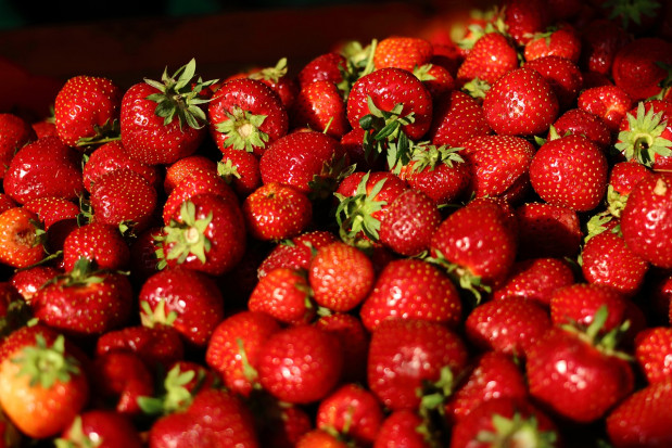 fot. pixabay.com Podsumowanie sezonu truskawkowego: Dobre ceny, mniejsze zbiory