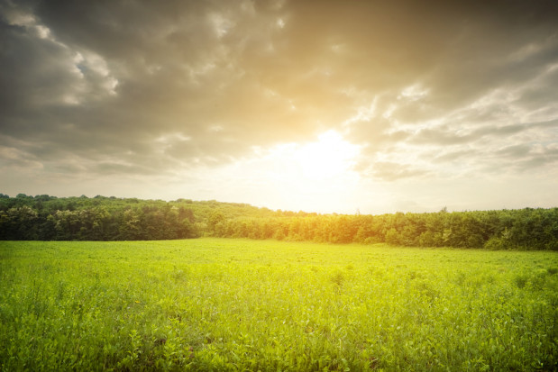 fot. shutterstock.com Prognoza pogody na 13 i 14 lipca: zachmurzenie umiarkowane, przelotne opady deszczu