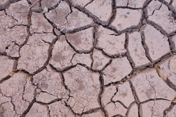 fot. Shutterstock.com IUNG: Na terenie Polski w dalszym ciągu utrzymuje się susza rolnicza
