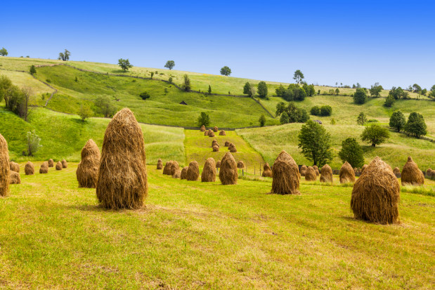 fot. shutterstock.com Ardanowski: resort chce wspierać rolnictwo na obszarach górskich