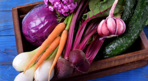 Allium: Rynek warzyw będzie bardzo oporny na regulacje (wywiad) 
