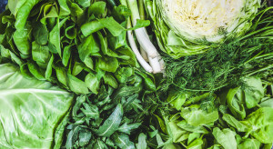 Zielone warzywa mają pozytywny wpływ na zdrowie człowieka 