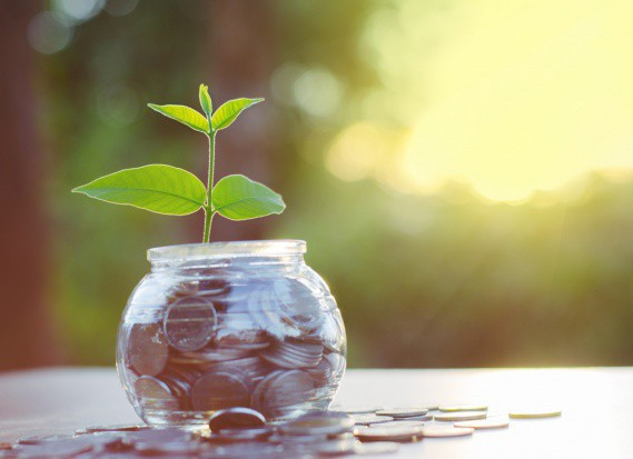 fot. shutterstock Zgorzelski, PSL: PiS nie realizuje obietnic złożonych rolnikom w 2015 r.