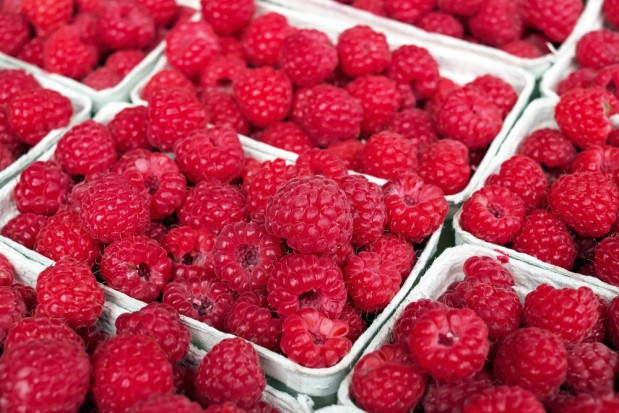 fot. shutterstock Ceny malin w hurcie dochodzą do 26 zł/kg