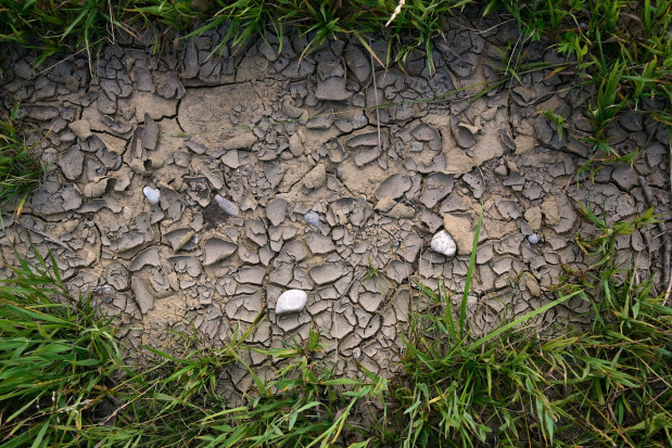 fot. pixabay MRiRW: Suszą dotkniętych jest 1,8 mln ha gruntów rolnych