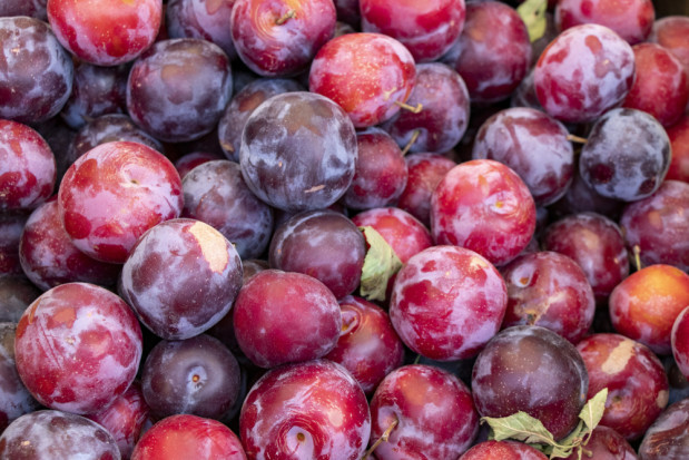 fot. shutterstock Bronisze: Wciąż brakuje malin. Coraz więcej jabłek i śliwek