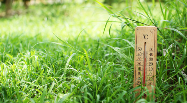 fot. shutterstock Pogoda: Nadchodzą ciepłe dni. Temperatura sięgnie 30 stopni