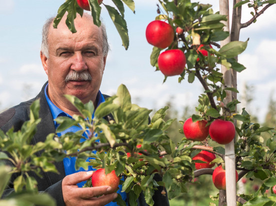 Stanisław Daniłoś, prezes Zrzeszenia Producentów Owoców i Warzyw Sad-Pol Piłka jest po stronie sadowników - wywiad z prezesem Sad-Polu