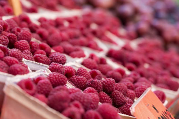fot. shutterstock Ceny malin w hurcie wahają się między 10-20 zł/kg