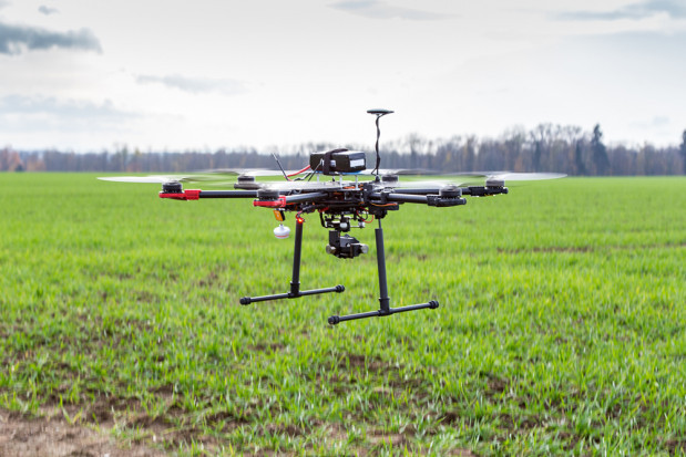 fot. shutterstock Ardanowski: Zdjęcia z dronów pomogą oszacować straty wywołane suszą