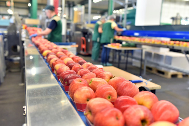 fot. shutterstock Prezes FruVitaLand: Działania ARiMR doprowadzają nas do kapitulacji!