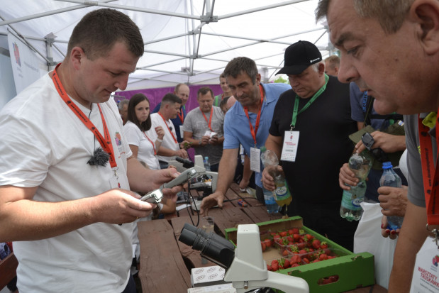 Albert Zwierzyński odpowiada i udziela konsultacji plantatora truskawek/ fot. materiały DJ
Technologie uprawy truskawek podczas Warsztatów z Doradcą Jagodowym (zdjęcia)