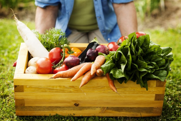 fot. shutterstock Skutki suszy dotkną polskich konsumentów
