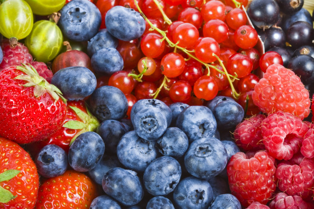 fot. shutterstock.com Integracja plantatorów owoców jagodowych ułatwia edukację konsumentów (wideo)
